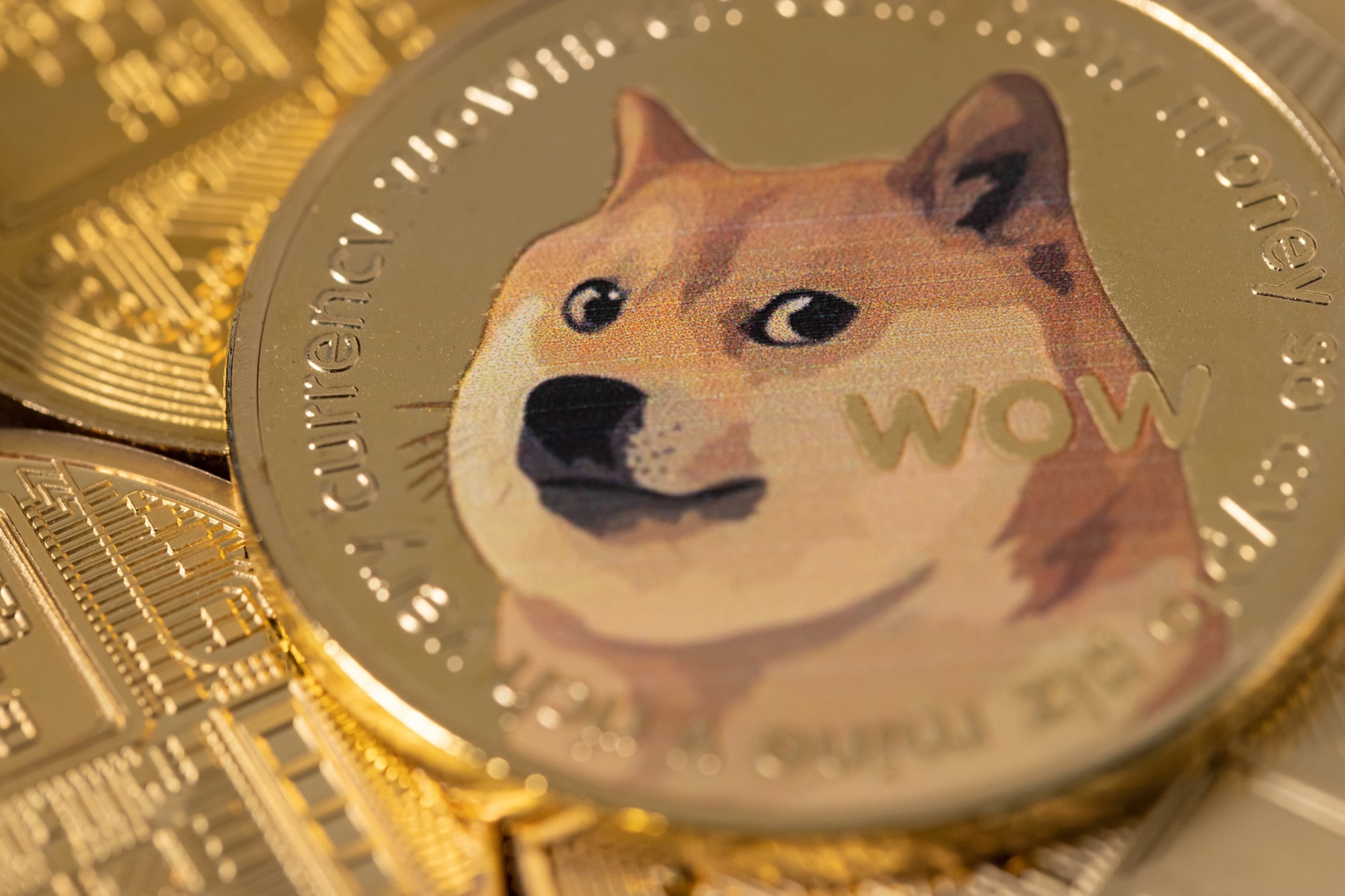Vad är Dogecoin? Allt du behöver veta om kryptovalutan med hunden -  Marketplace.se