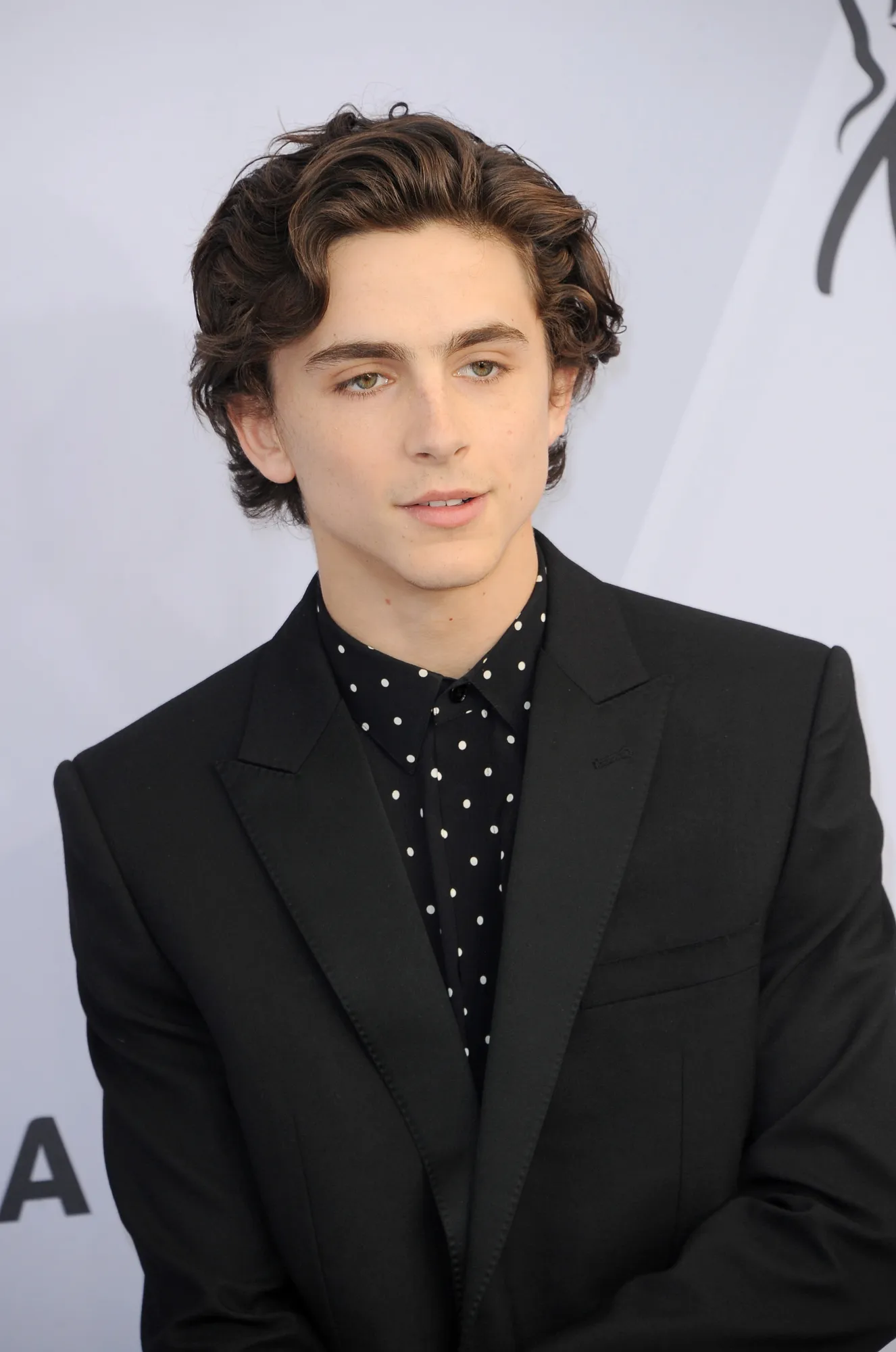 Timothee Chalamet - Photo by PopularImages - Depositphotos.com