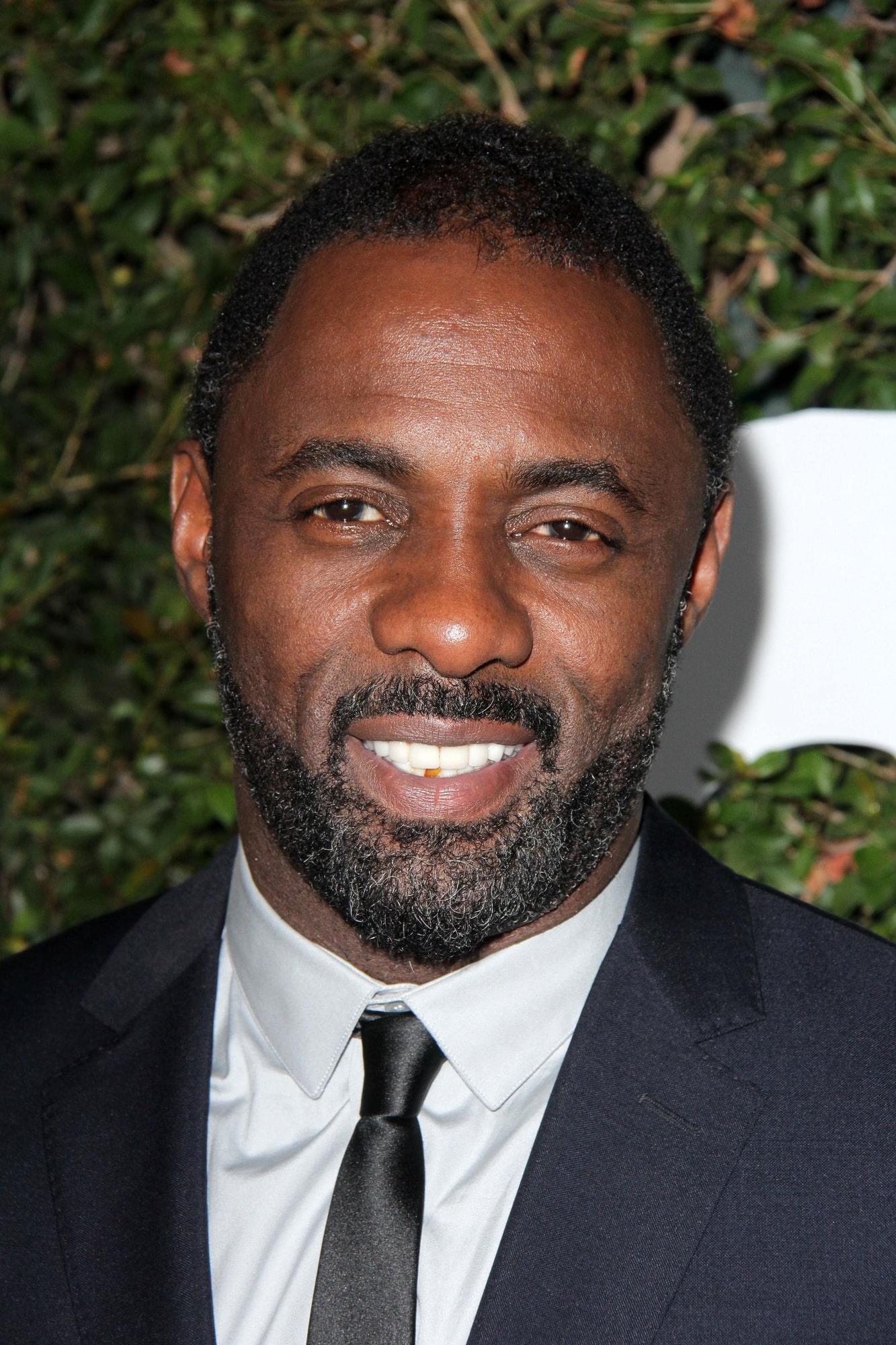 Idris Elba - Photo by s_bukley - Depositphotos.com